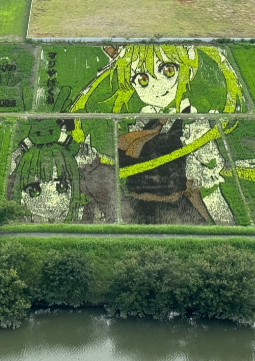 Dexerto's tweet photo. A rice field in Japan has been turned into a giant anime girl mural

The massive artwork features Miss Kobayashi's Dragon Maid characters Tohru and Kanna https://t.co/2imWi8wq88
