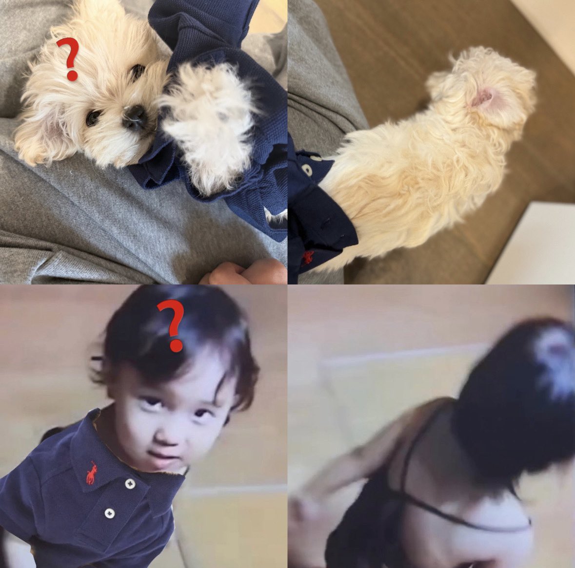 13e11's tweet photo. ภาพทับซ้อน “องค์หญิงยังตัวเล็กอยู่… เดินออกจากชุดไปเลยค่ะ” (องค์หญิง งงค่ะ เสื้ออะไร? เดินออกดีกว่า) https://t.co/ympETN9lnD