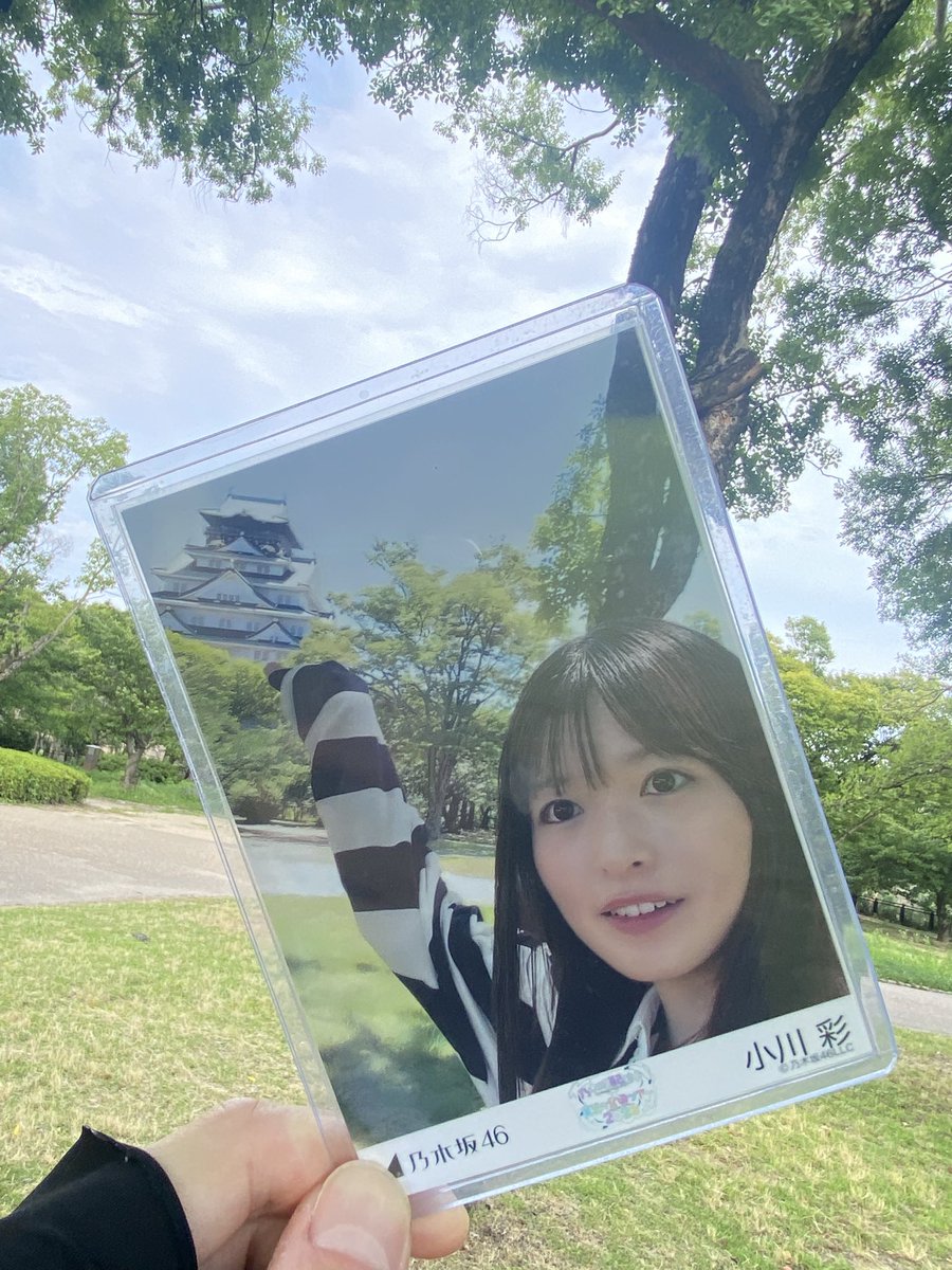 ChromTty's tweet photo. あーやとピクニック

#小川彩
#乃木坂全国ツアー大阪Day1 https://t.co/klOaMcNdog