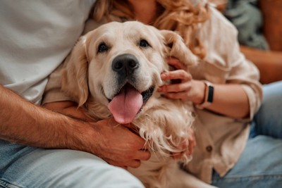 Kingsta62602650's tweet photo. Nothing beats coming home to a wagging tail and a warm cuddle https://t.co/uUQHFXdP0i