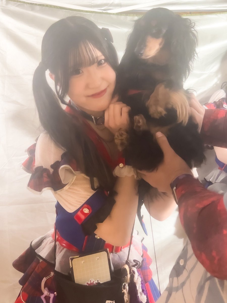 Ryoshi_t_'s tweet photo. 本日、うちの小夜が9歳になりました。
例年どおり、自分の代わりに小夜のお祝いをお願いします。
写真は先日海に行った時の。
#お祝いユース https://t.co/zWYIi5Wy1N