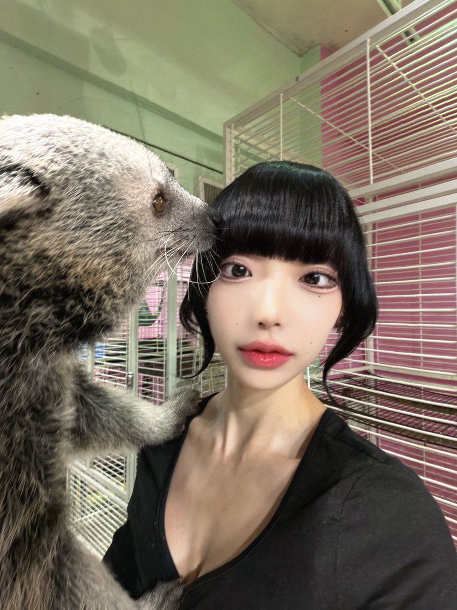 YW89_8's tweet photo. ビントロングに会ってきた！
#離れた瞳に恋してる https://t.co/TCUW0wQkmM