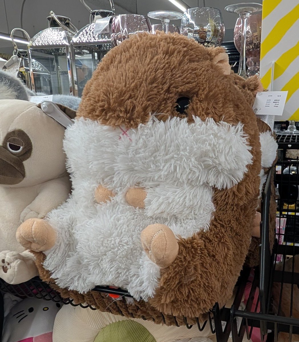 IvoryPaws1's tweet photo. Could someone transfer €20 to me so I can buy and fuck the hamster? #nsfwtwt https://t.co/flGnqb93bD