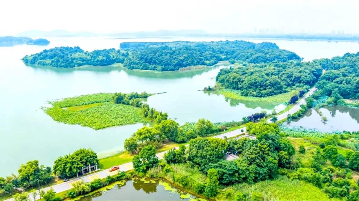 yichen55312's tweet photo. 夏日的安徽池州平天湖碧波荡漾，环湖绿道蜿蜒，远山薄雾轻笼，满眼清润碧色，尽显江南好风光。 https://t.co/CtfZy36VcY