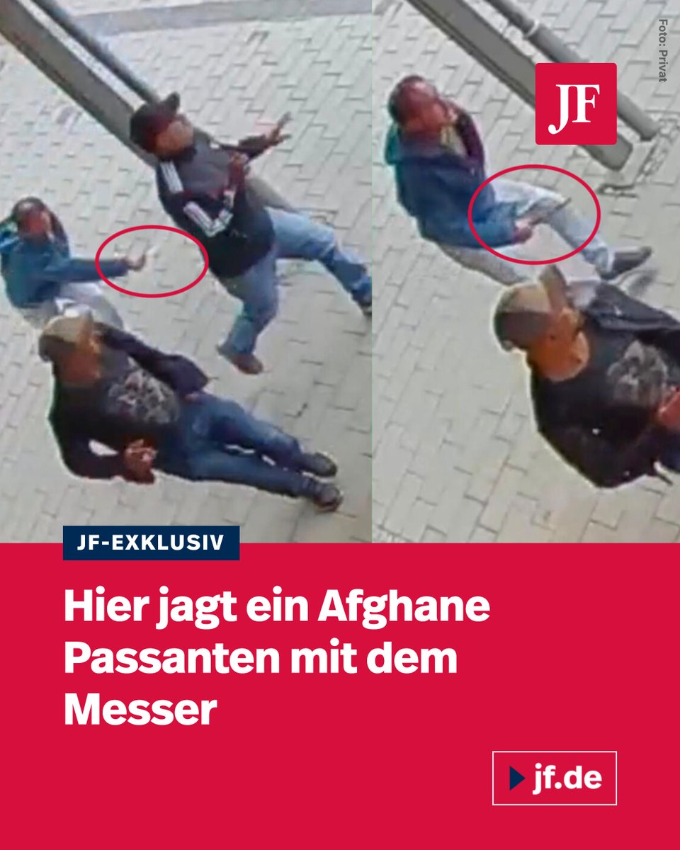 jungefreiheit tweet picture