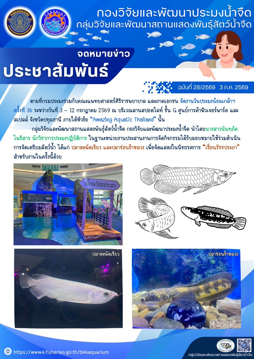 PikaPhu_TH's tweet photo. ช่วงที่ #ปลาหมอคางดำ ระบาด 😌
- อนุทิน ธรรมนัส CP อื่นๆ บอกว่าไม่ใช่ความผิดของตน แต่ไปทำ CSR ต่างๆ แล้วบอกว่าให้ช่วยกันจับมากิน? 
- รัฐบาลจับมาขายให้ประชาชนในราคาถูก (ประมาณโลละสิบบาท)
- ล่าสุด ปลาพวกนั้นไปอยู่ในกระป๋องแต่ฉลากเขียนว่าซาดีน แมคเคอเรลได้ยัง? ไหนบอกทำอาหารสัตว์ ? 😌 https://t.co/mUhacS0WQm