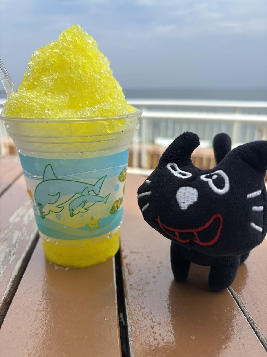 ruu_a0929's tweet photo. キヨ猫、かき氷だよ
かき氷、キヨ猫だよ https://t.co/67DzIOQfZG