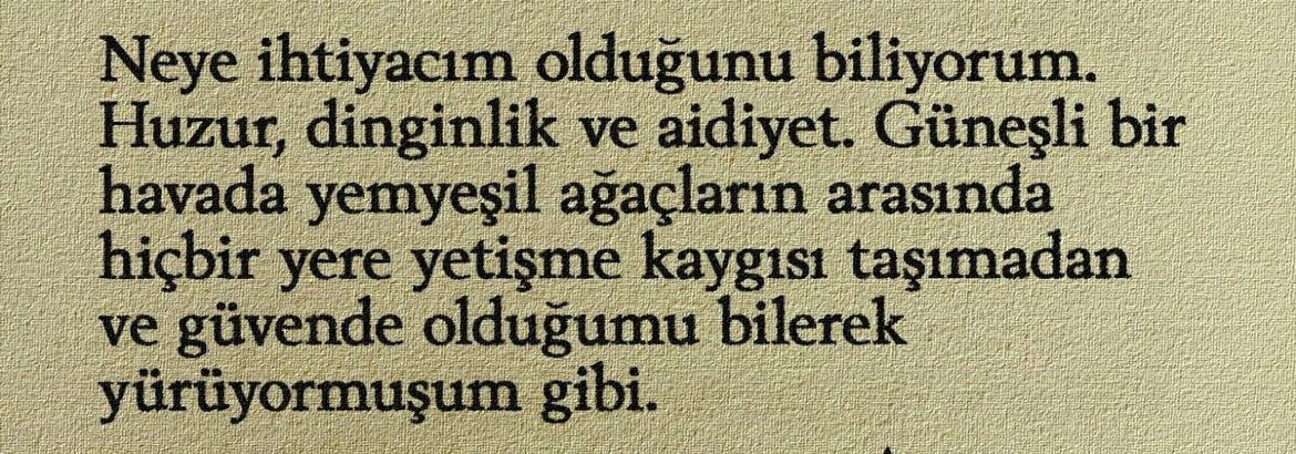bkusii's tweet photo. Hiçbir yere yetişme kaygısı olmadan ve güvende olduğumu bilerek. https://t.co/dcegyc3RNW