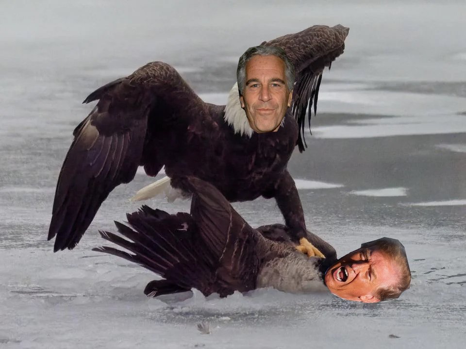 GarrotTheParrot tweet media