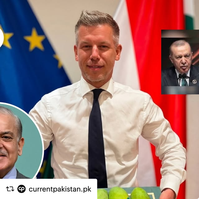NatureBliss3's tweet photo. Reposted from @currentpakistan.pk
Hungary’s Prime Minister, Peter Magyar, thanked Pakistan after receiving 90 mangoes as a diplomatic gift from Prime Minister Shehbaz Sharif. https://t.co/k9qvVOClGT