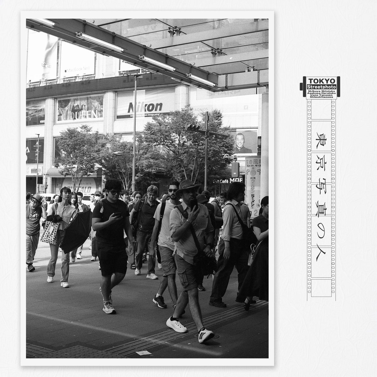 トーキョー写真の人 tweet media
