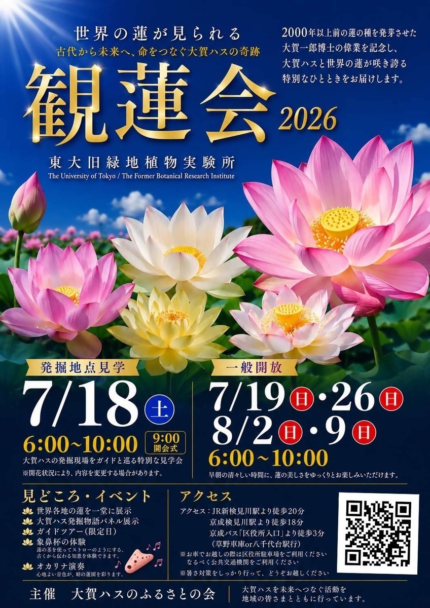 花蓮様　確認ページ 早起きして蓮の花を見に行きませんか?🌱 #観蓮会2026 📍東大旧緑地植物