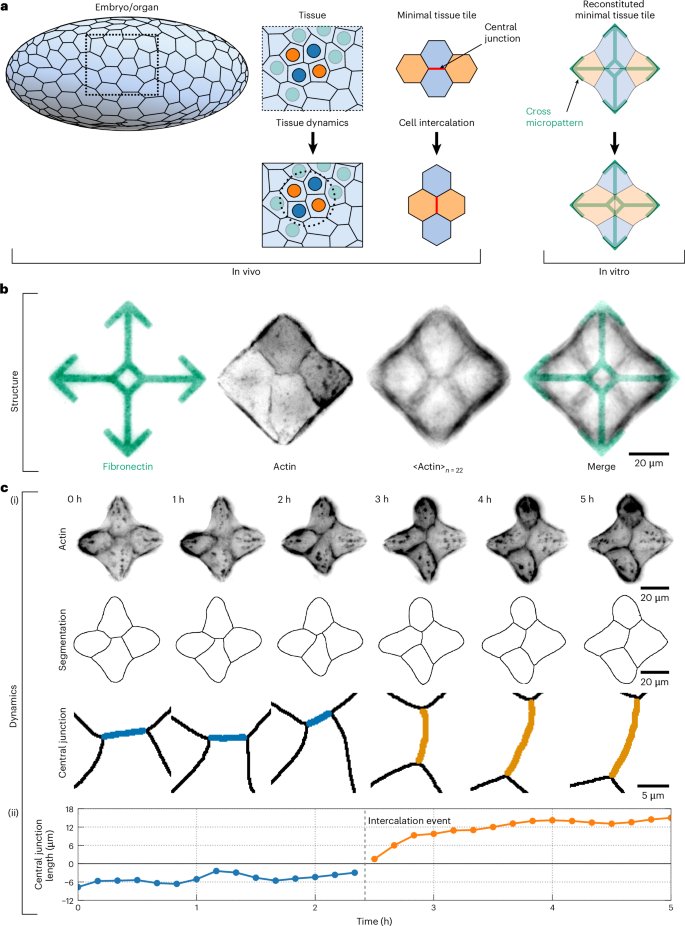 Nature Physics tweet media