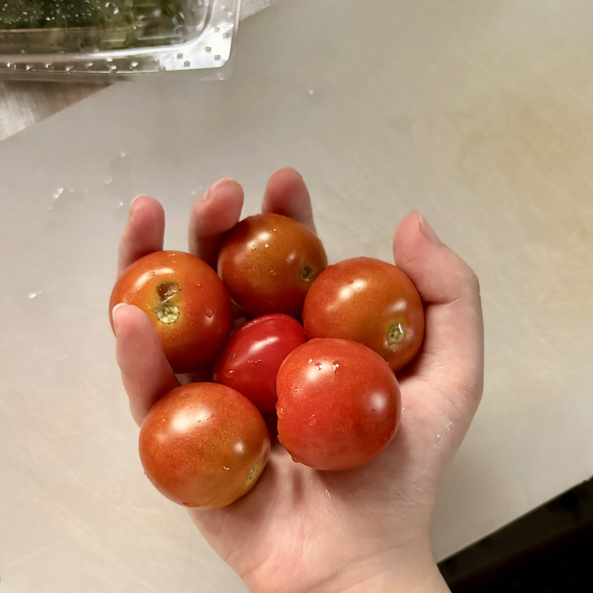 Jas_31ne's tweet photo. トマト(とキュウリ)をいただいたので
丸鶏ふわ玉トマトスープ(っ˙꒳​˙)╮ =͟͟͞͞🍅 https://t.co/b4Ik2ugrxQ