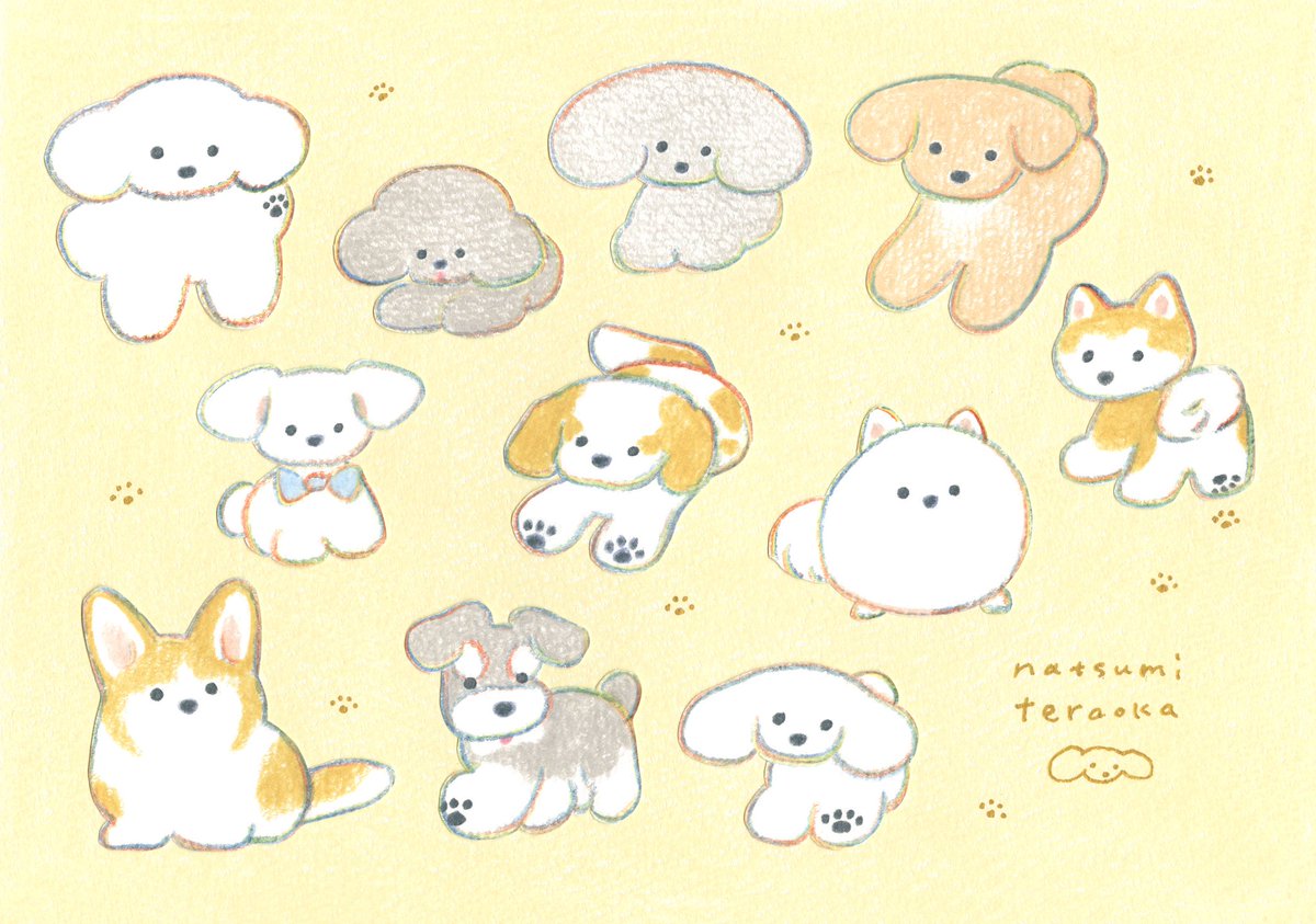 teraoka_natsumi's tweet photo. おじいちゃん犬をお迎えした保護団体さんへドッグフード60kg寄付させていただきました🐶🐱https://t.co/jze4ZxWwWT
▽保護団体さんの欲しいものリストhttps://t.co/9upTdvQwNc https://t.co/XV52NZS2A3