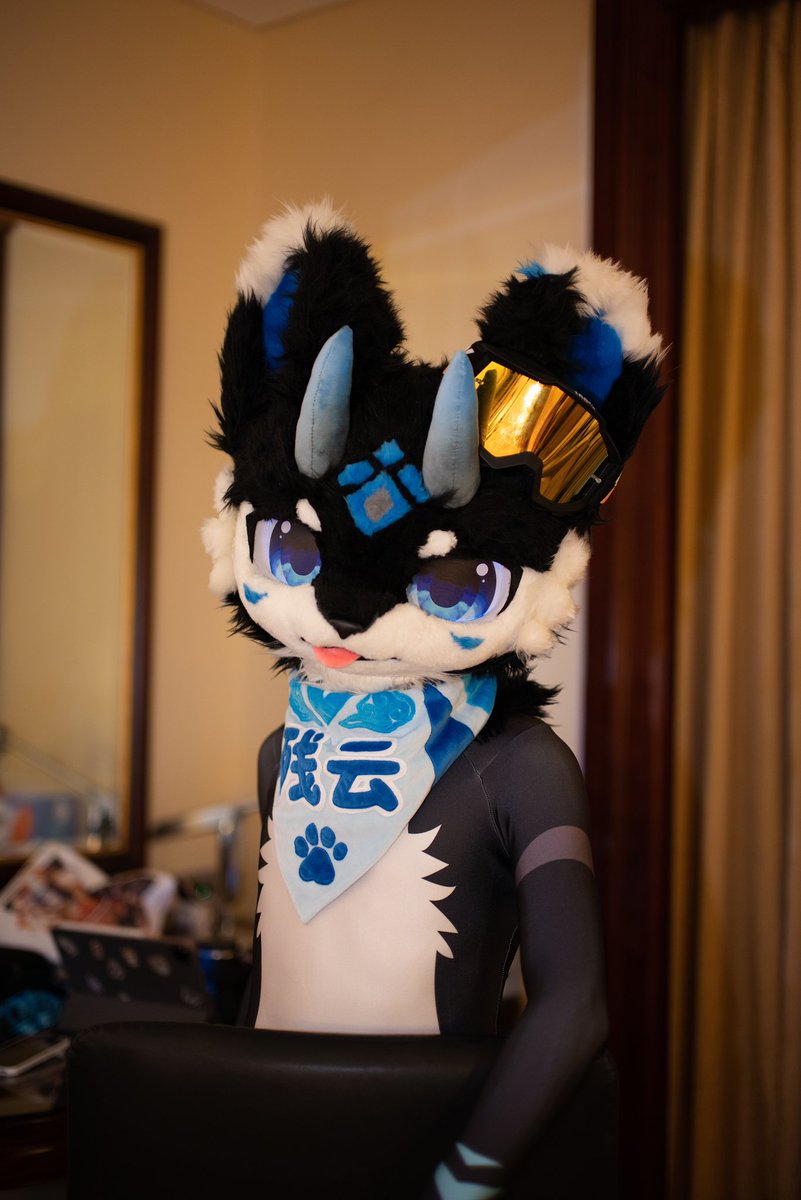 🐾残云吃不胖☁️ tweet media