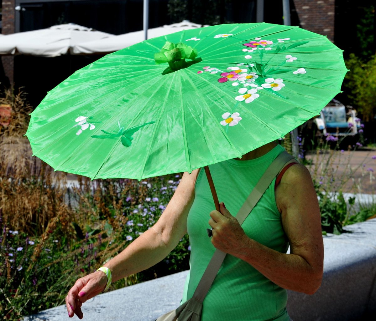 RonaldPumaPhoto's tweet photo. #Verwacht/#Expected: #StreetLife #392. #StreetPhotography #Netherlands. #fotografie #straatfotografie #photography #kunst #cultuur. Photos from real life. 100% #photoshop free! NO #prompt #AI #KI #OpenAI #Midjourney #ChatGPT #Grok #Gemini #filters. https://t.co/cqQuY5fzHL