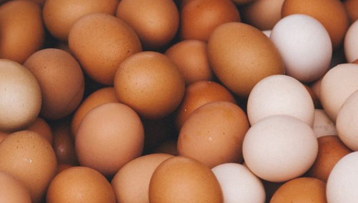 thecableng's tweet photo. SYLVESTER OJENAGBON: "Few foods have sparked as much debate as the egg. It sits in nearly every kitchen in the world, cheap and versatile, yet it has spent decades on trial. One generation was told to eat it every morning for strength. The next was warned that it would clog their arteries and shorten their lives. Health advice on eggs has swung back and forth so often that it is fair to ask whether anyone knows the answer or whether we are all just repeating what we heard last. The story started in the 1970s and 1980s, when cholesterol became public enemy number one in Western medicine. Eggs were an easy target because a single yolk carries a fair amount of dietary cholesterol, around 186 milligrams. Health authorities in the United States and Britain advised people to reduce their egg consumption. As a result, the consumption of eggs fell sharply. Cardiologists then believed, reasonably given what was known, that eating cholesterol raised blood cholesterol fairly directly and raised the risk of heart disease."

 https://t.co/LH4lPfY6Bi