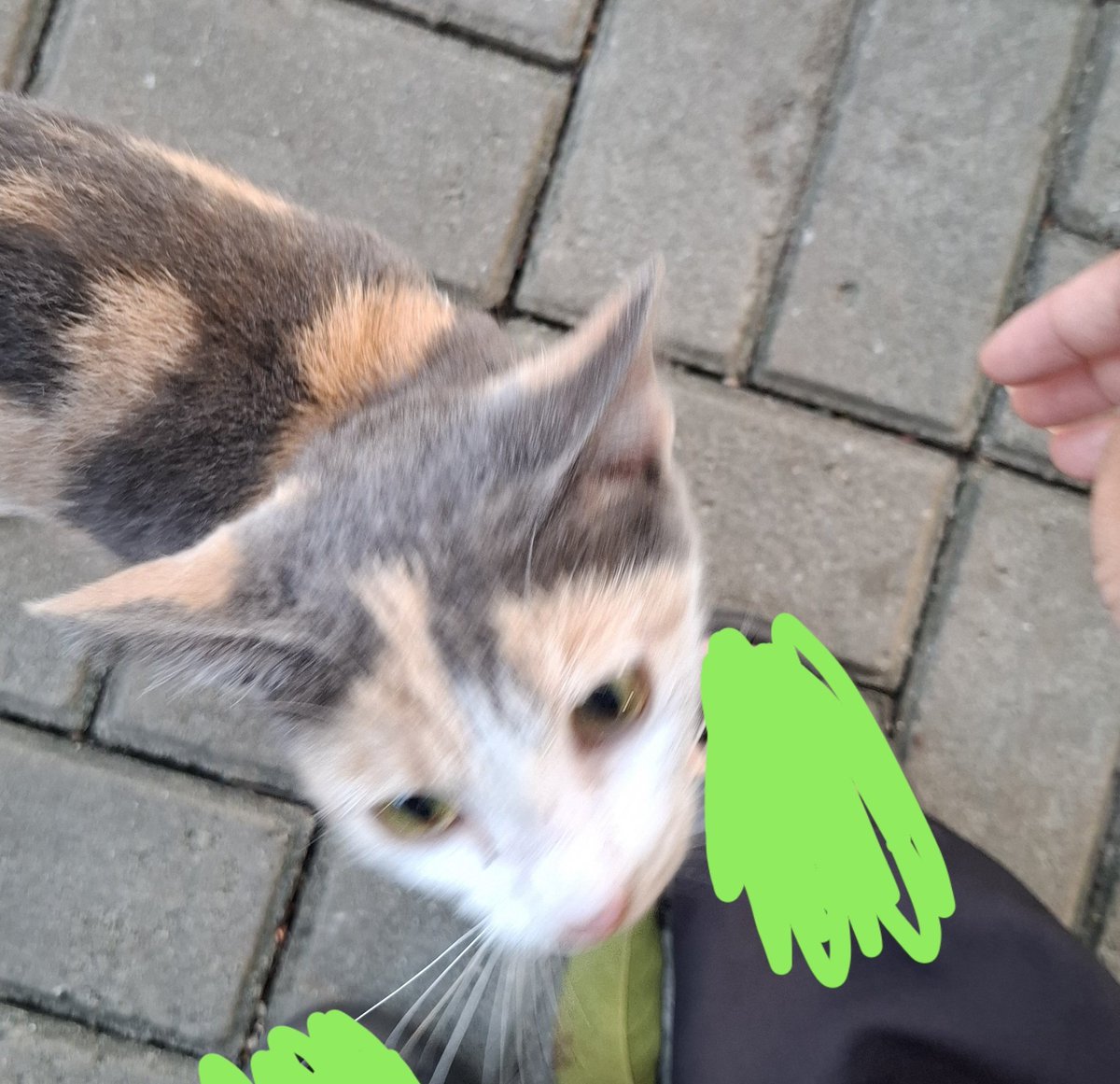 cearulea's tweet photo. the ultimate side quest on my way to the bus stop. https://t.co/kbDdLcTSBF