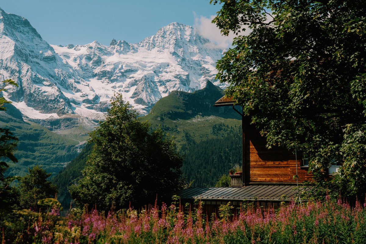 travellersplan's tweet photo. Murren, Switzerland 🇨🇭 https://t.co/wmhDHC8K7o