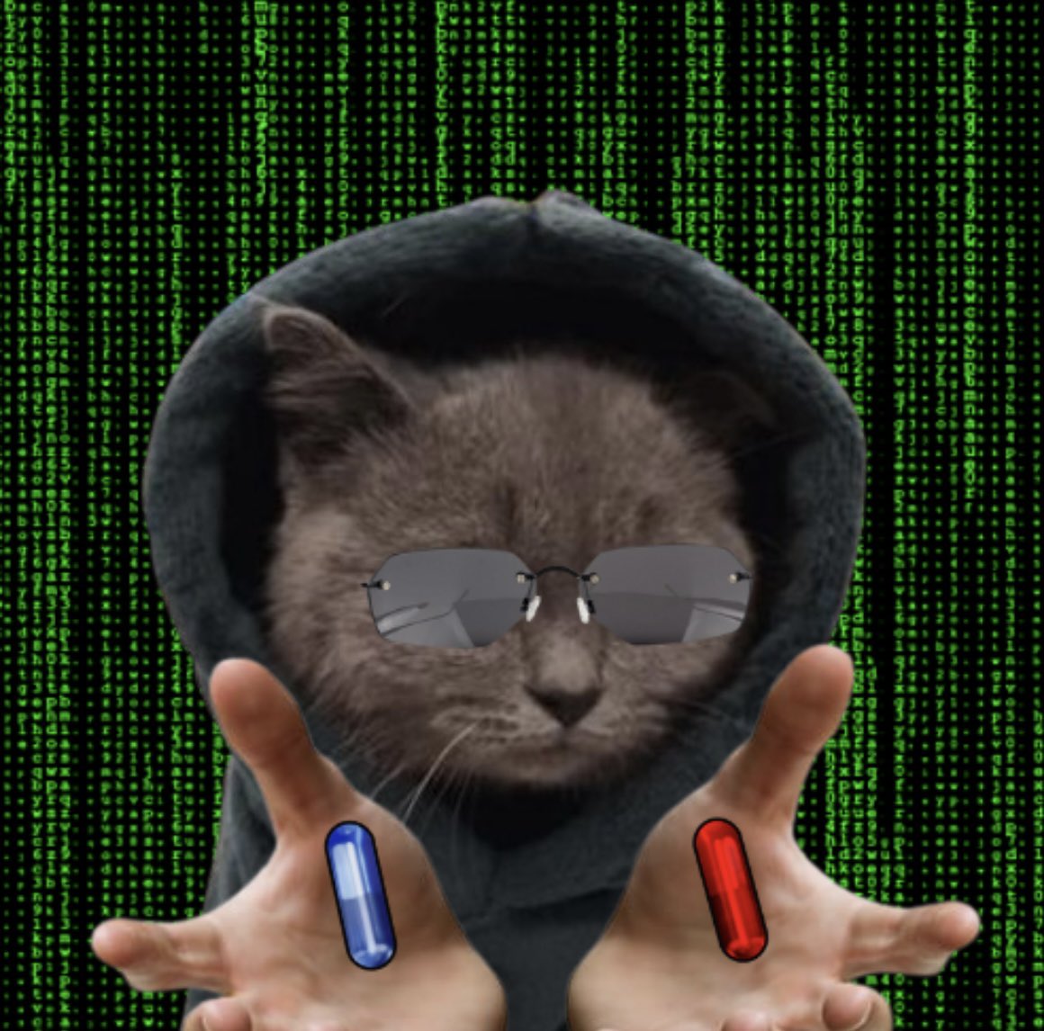 MEOHRH's tweet photo. All I’m offering is meoh

https://t.co/hSzVl5ezqM https://t.co/Bx33Eb1tBb
