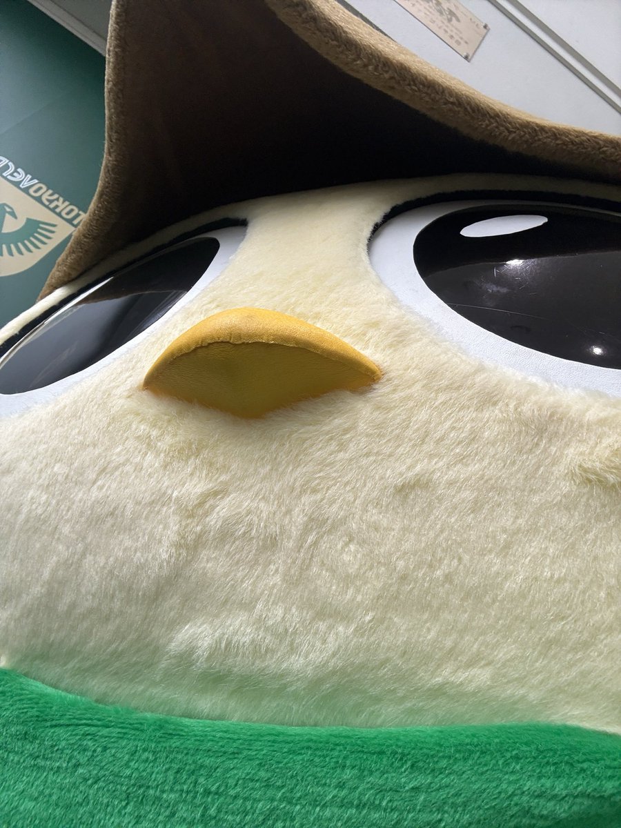 reverun_verdy's tweet photo. じどりにちょうせんしてみたルン📸
かっこよく写ルンですルン✨
ボクがもれルンかくどをみんなおしえてルン💚
#verdy
#リヴェルン
#カッコイイ
#ルンの１ヶ月チャレンジ https://t.co/briY0vtkCy