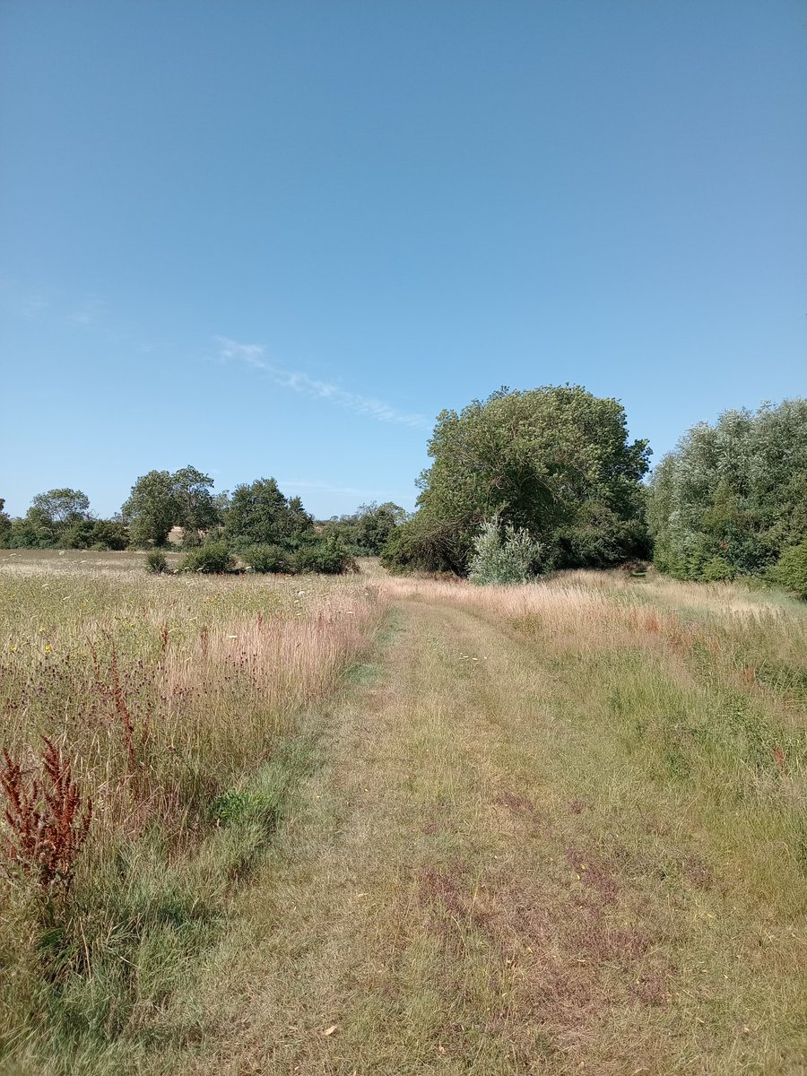 phil0073's tweet photo. #NorthamptonshireRound 1 near #Holcot . #PhilOnaBike #WednesdayWander #FootpathFriday https://t.co/9dq8A3ygeY