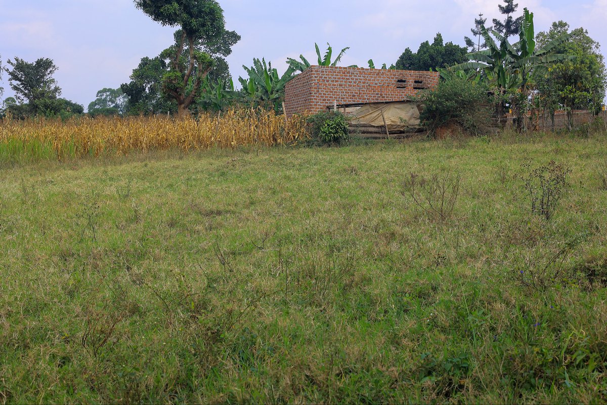 propertycase's tweet photo. Plot of land on sale, in kiwenda along gayaza Rd, u branch off from kiwenda town to sitabale, 100 by 100 at 65m  &amp; 50 by 100 at 35m Tittle available 
Call 0755668226. 

#uganda #landforsale https://t.co/798xogHXiX