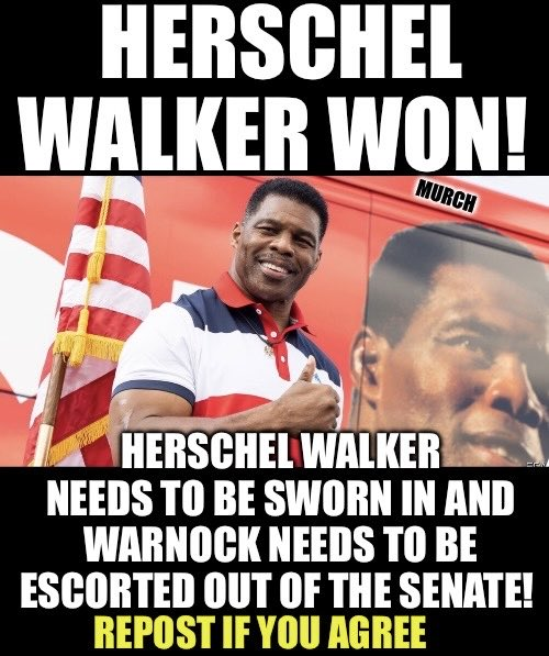 Anneancb's tweet photo. Herschel Walker should have won that Georgia Senate race in 2022!   If it does indeed come out that the election was stolen, he should be sworn in ASAP and Warnock should go to prison. https://t.co/yNDPBoYtVY