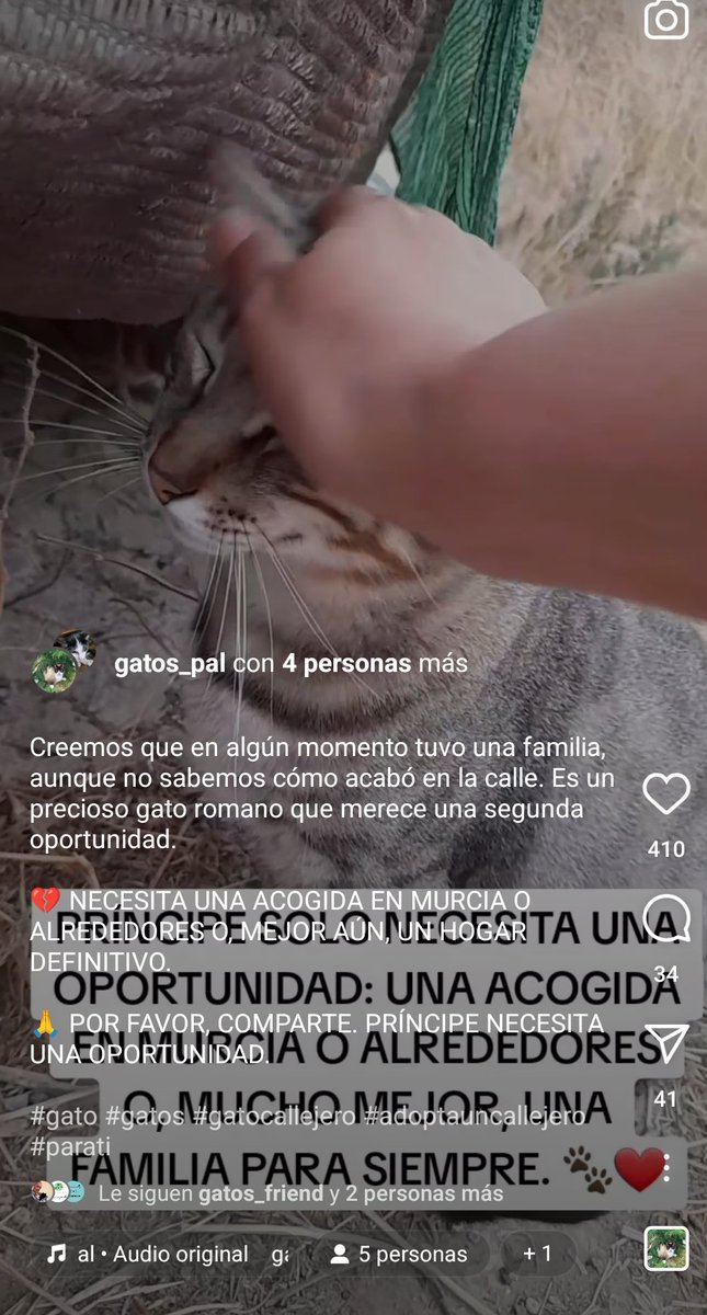 john_doe1237's tweet photo. MUY URGENTE 🆘🆘👇🆘 https://t.co/wRCBOVL3ey