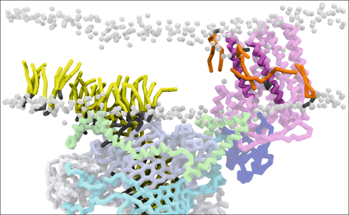 NatureStructMolBiol tweet media
