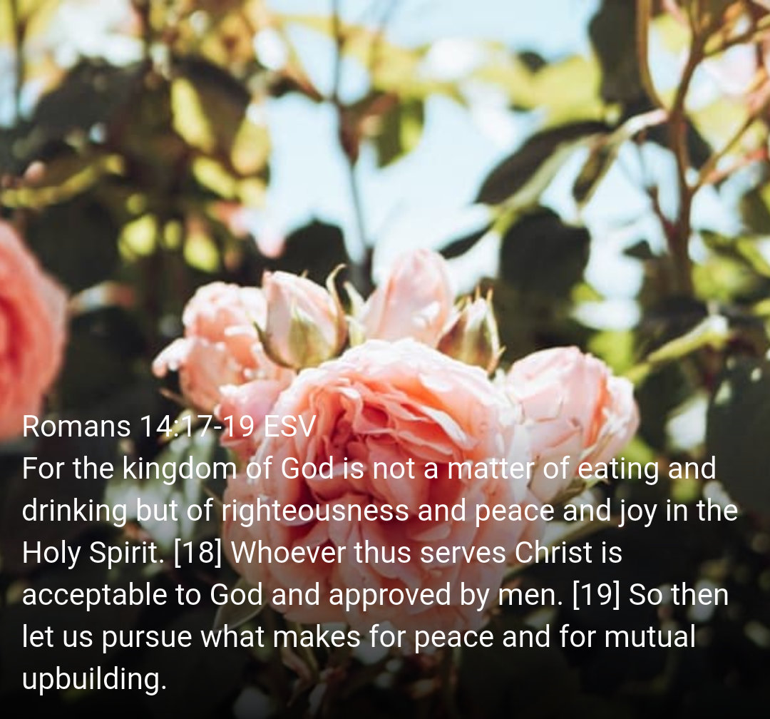 JeffRicker13's tweet photo. https://t.co/ZYF1EVh3Gj