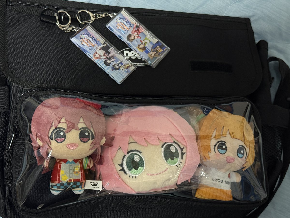 Pちゃん (@smallp331) / Posts / X