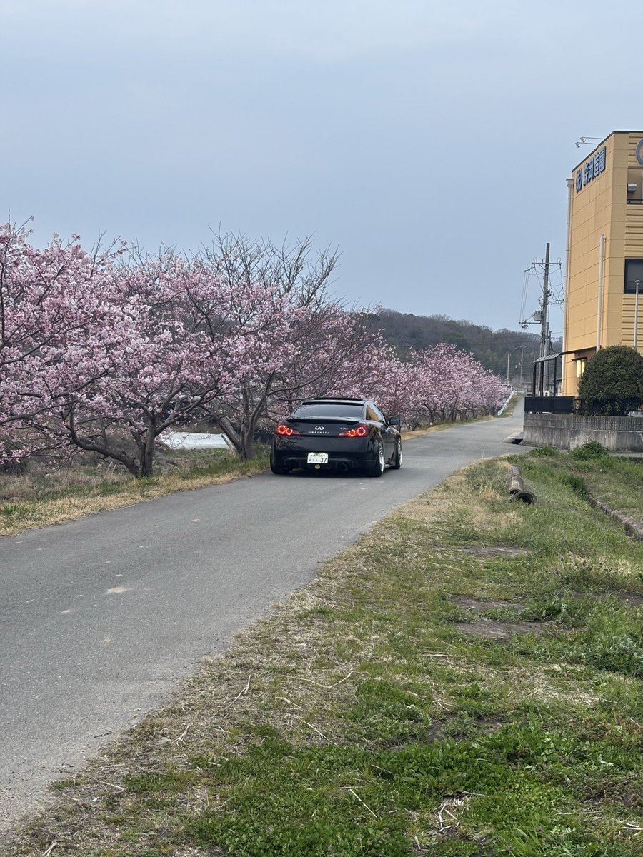 Yukkkky_Hornet's tweet photo. #スカクー　#ckv36
#売ります　#車売ります
ゆるぼ
330馬力　FR MT 
即ドリデートカーいかがでしょうか
改造多数　サンルーフ‼️

可変マフラーで直管と純正サウンド切り替えれます脳汁でます

現車確認可
車検2027/3まで
距離14万キロ手前
前回の車検は車高上げて転がしホイールにするだけ https://t.co/SmMzdIwR0V