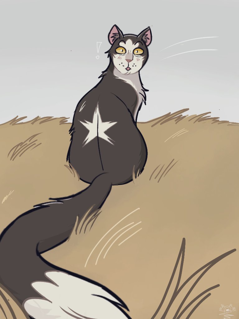 Isengarddescend's tweet photo. Oh Tallstar you'll always be my #1 long-tailed cat
#warriorcats https://t.co/0xOkntZ5Uo