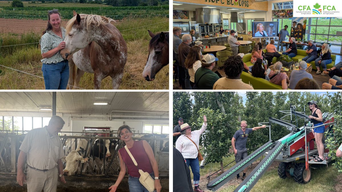 CFAFCA's tweet photo. That you to the Nova Scotia Federation of Agriculture for hosting some amazing farm tours yesterday for the CFA Summer Meeting. Visited some amazing farms and operations across the province showcasing #cdnag! #CFASummer26 https://t.co/oXNlzbW6vm