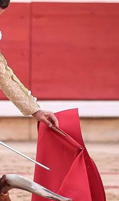 eltoreosecreto's tweet photo. Las yemas, el toreo esta en las yemas. https://t.co/PcqYFTSDL9