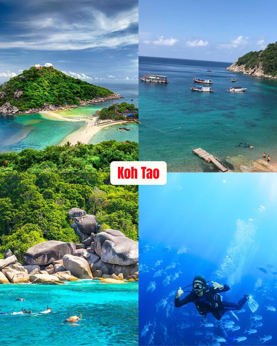 GujjuTours's tweet photo. 🇹🇭 Thailand isn't overrated... you're just visiting the same places. 

Everyone talks about Phuket and Krabi, but Thailand has so much more waiting to be discovered.

📞+91 93276 82026
🌐https://t.co/uP1BHAxGAT

#Thailand #GujjuTours #ThailandTravel #HiddenThailand #Krabi #Phuket https://t.co/sUsYZOj923