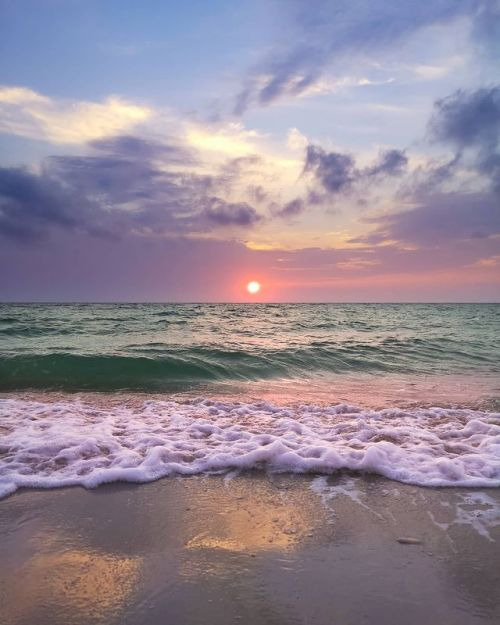 aestheticspost_'s tweet photo. Beach therapy. https://t.co/qnB9O9b5H6