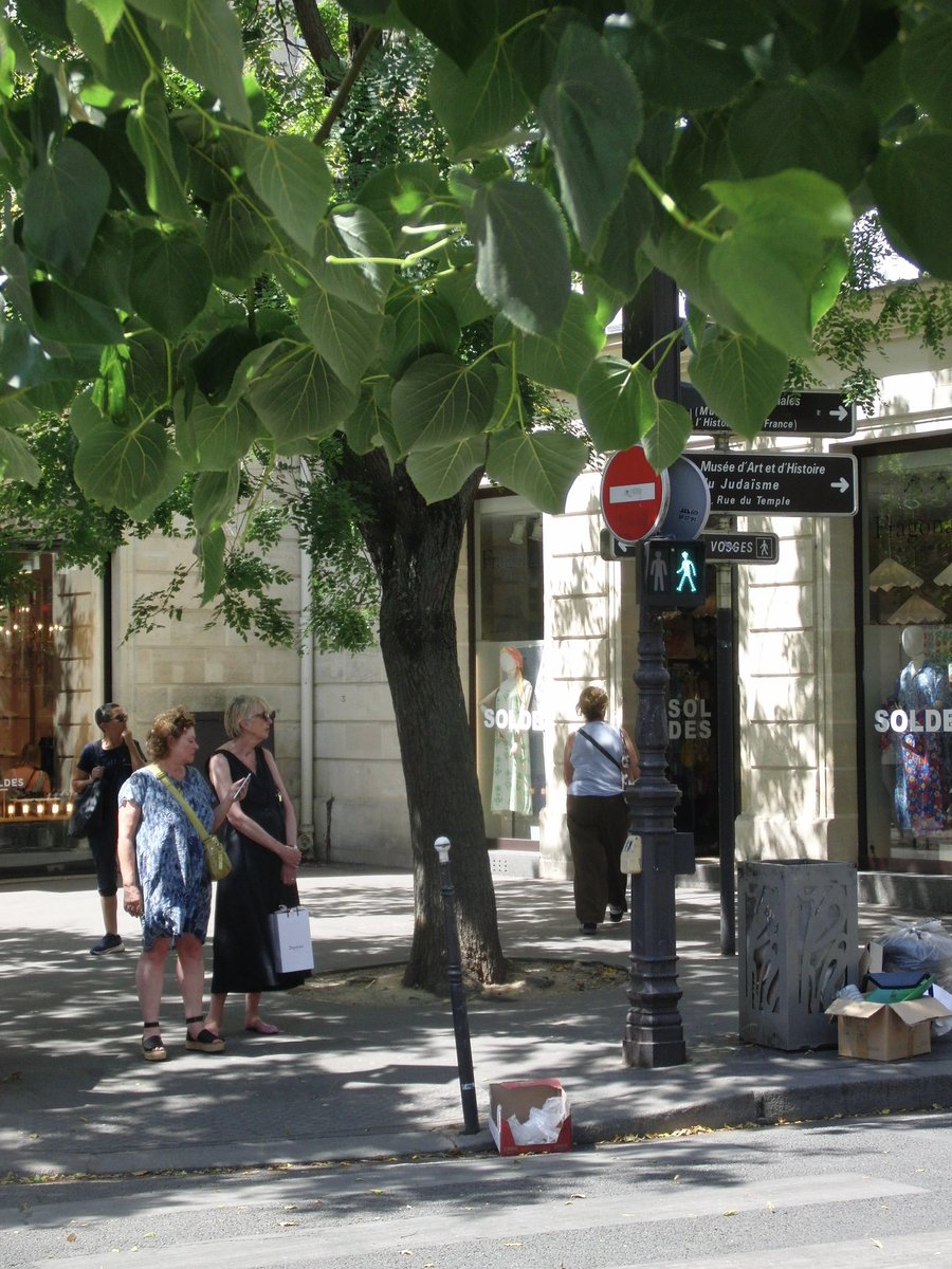 anrillyn's tweet photo. ₚₐᵣᵢₛ🇫🇷 https://t.co/3Az3L9gz7V