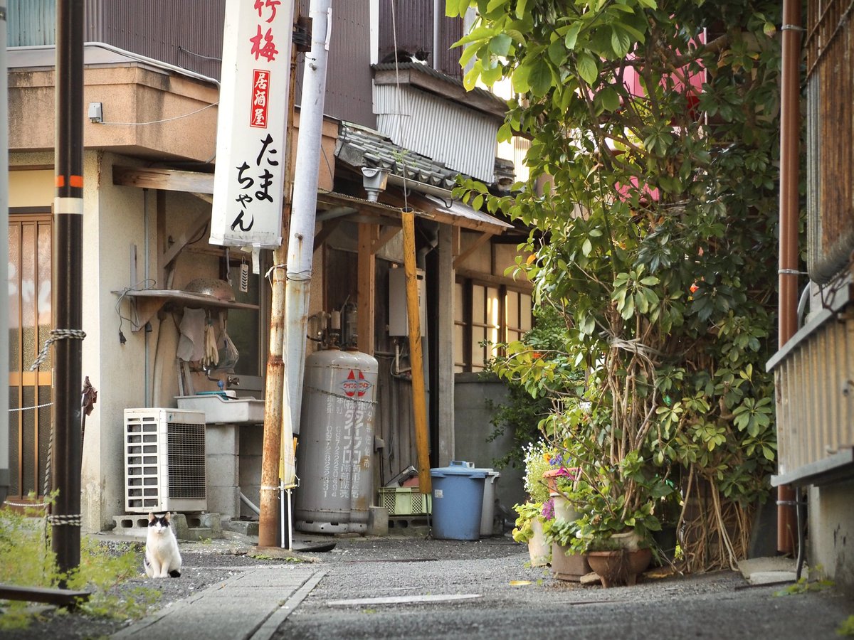 かめ (@kame__0877) / Posts / X