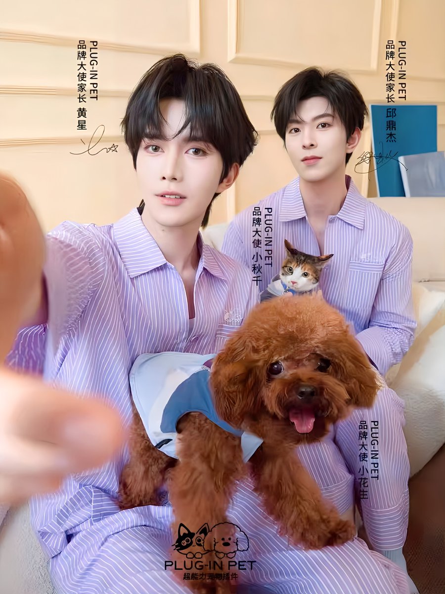 andrieea_'s tweet photo. Day after day, amid life's ordinary moments, there are always little unexpected surprises that quietly brighten our days ✨

PET COMFORT WITH XINGQIU
#XINGQIUforPLUGINPET
#XingQiu #星邱 https://t.co/IVKlknLXDy