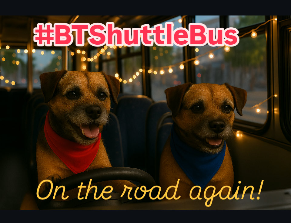 SkipperTheBear's tweet photo. Afternoon #BTShuttleBus drive to #BettysPorch - our little pal has been poorly, so we’re bringing healing nose boops!
Paws out for a lift 🚌🐾🐾
@MrsLC_ https://t.co/G5ae66tQbo