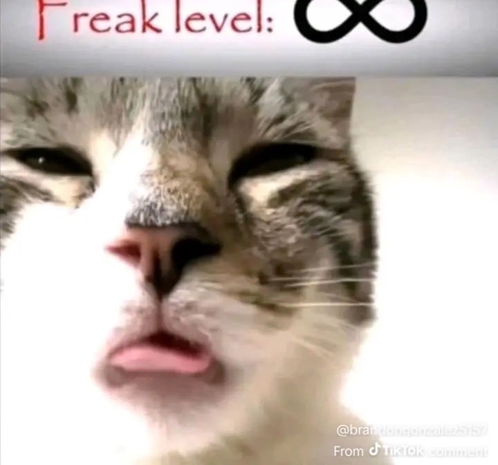 Pie_cat_AD's tweet photo. @bimbowag Actually drooling https://t.co/3rzS7brRl9