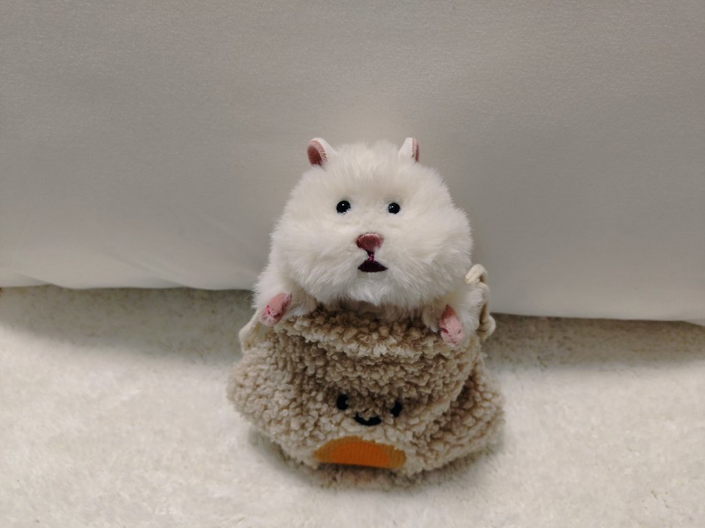 _imooimo_'s tweet photo. 煮玉子にぎりちゃん🥚
みんなお顔似てるね🙂
#はむにぎり https://t.co/oxs8WFx4Lf