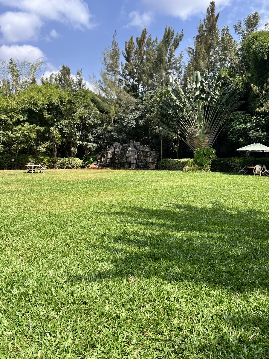SunstarResort's tweet photo. Let’s talk about beautiful events spaces. We have got it all here at Sunstar Resort Thika.

📞 0748 240 507 | 0713 370 783
🌐 https://t.co/IXfRIDB1md

Everything you need, all in one destination.

#ConferenceVenue #WeddingVenue #AccommodationKE #ThikaGreens #StayWithUs https://t.co/vt7JKCYcL8