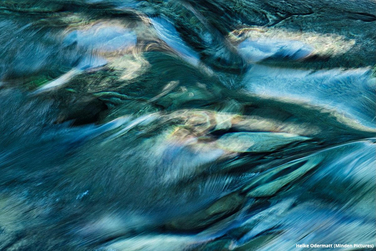 NWF's tweet photo. Why Is Nature Good for Us? 👀

Many of us know that nature is good for us. Scientists are trying to understand why. 🔬

Want to learn more? Read the National Wildlife Magazine Summer 2026 Issue 📲: https://t.co/hVA2GMGrtG https://t.co/7k55FGOaN8
