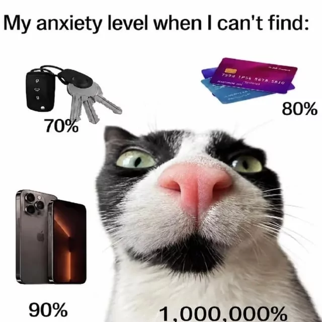 jayroo69's tweet photo. And then he comes sauntering out 5 hours later like nothing happened looking like he just woke up😸😸 https://t.co/Im9oLtnTCw