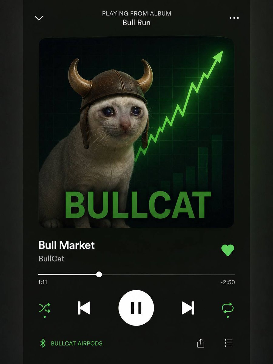 BULLCAT tweet media