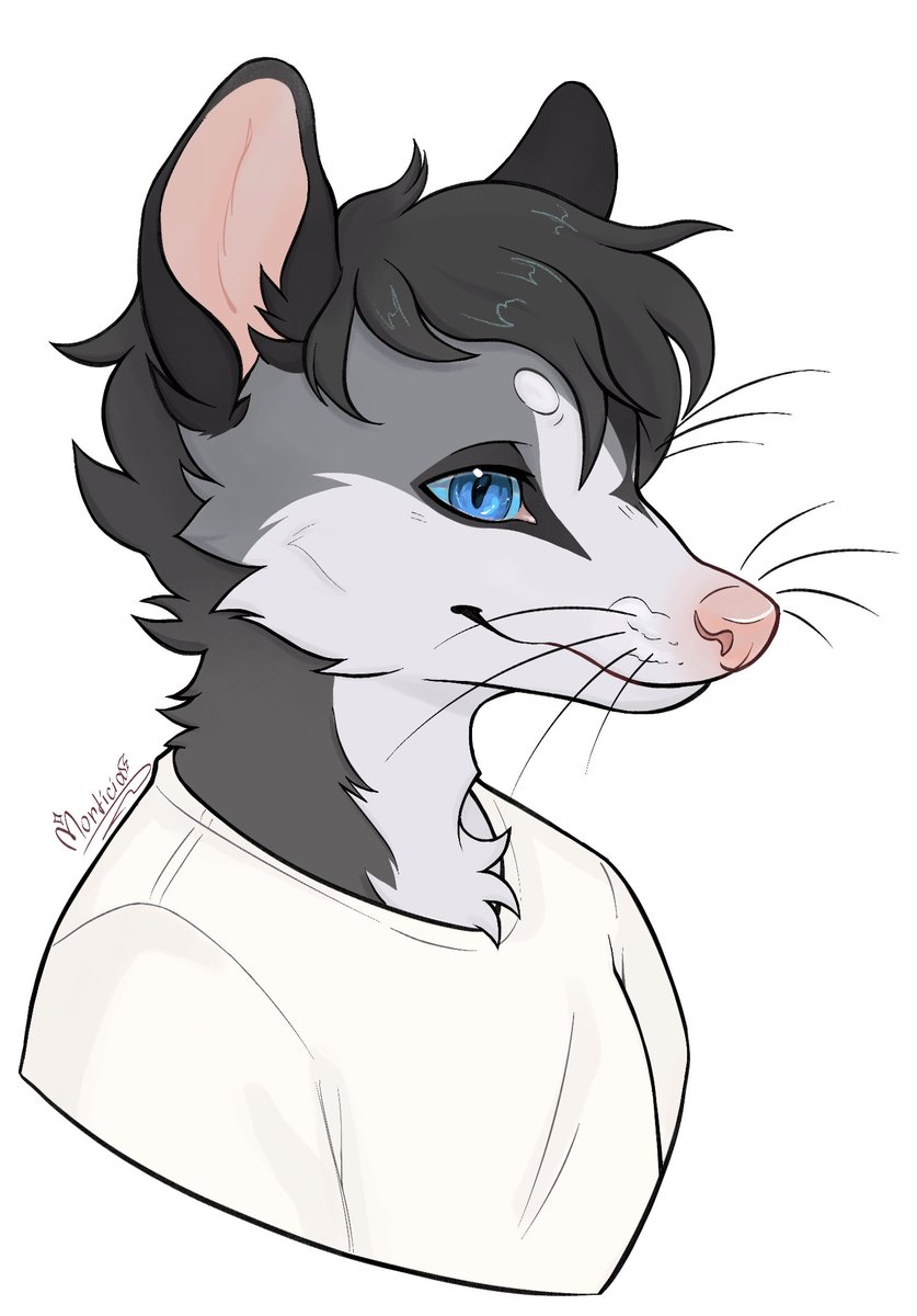 streyzhe's tweet photo. ~ Hsss 
A gift from Morticia Fangcy

#possum #furry #furryart https://t.co/TOWAUcdTiu